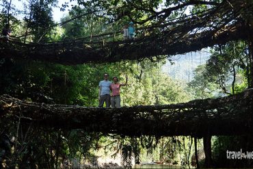 Dopple Decker Bridge