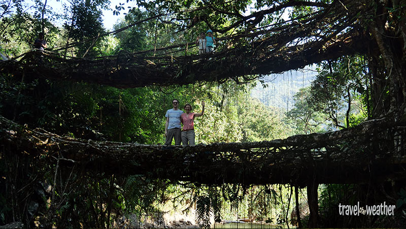 Dopple Decker Bridge