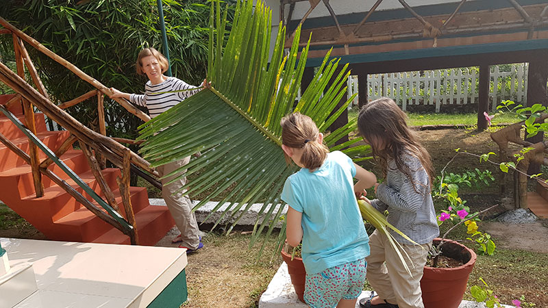 weihnachten palme