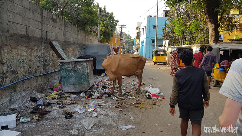 Chennai Muell Indien