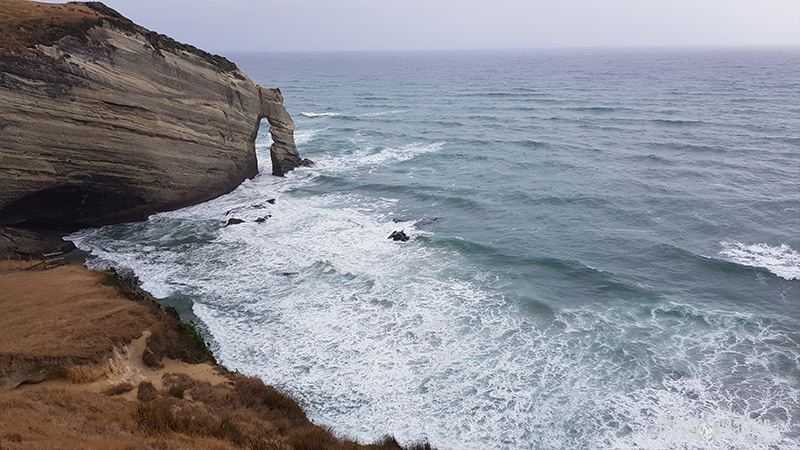 Der Blick auf die Steilküste am Cape Farewell.