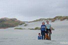 Einer der schönsten Plätze unserer Reise: Der Wharariki Beach.