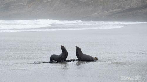 warariki-beach-neuseeland-9